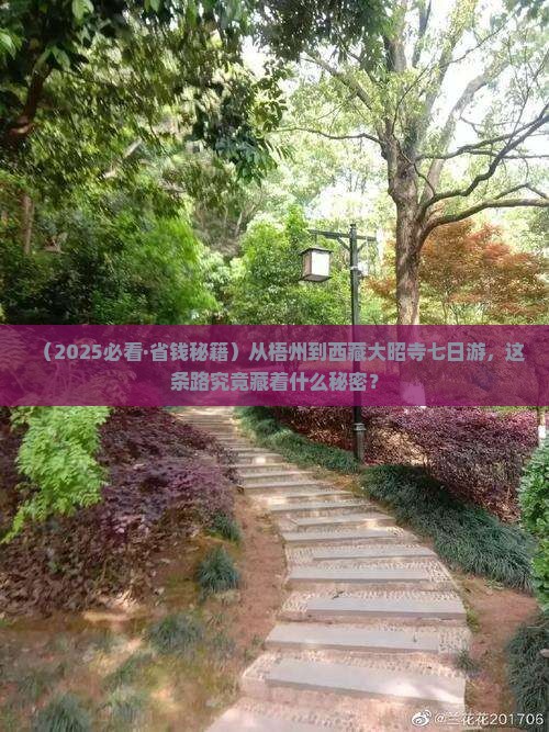 梧州去西藏大昭寺七日游 梧州去西藏大昭寺七日游