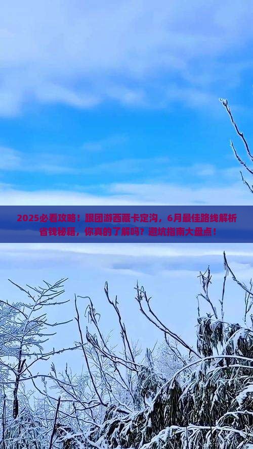 六月到西藏卡定沟大型旅游团