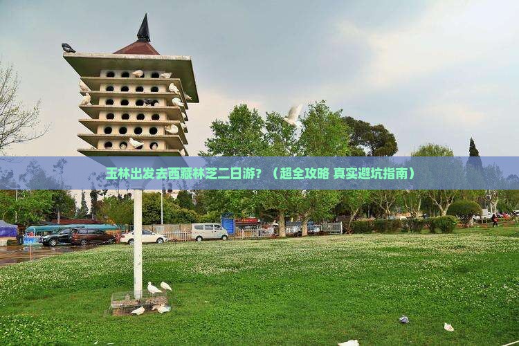 玉林到西藏林芝二日游