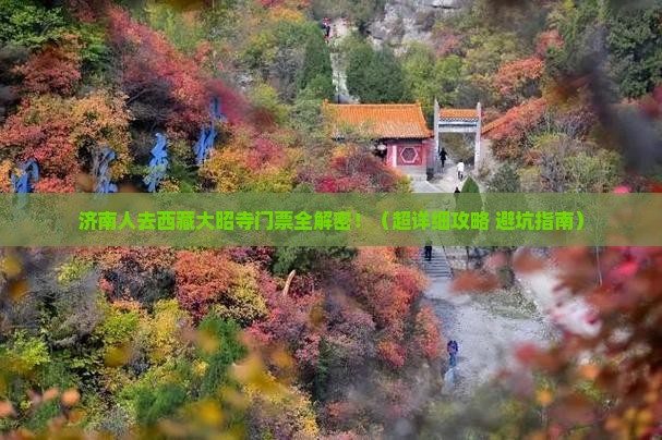 济南去西藏大昭寺门票
