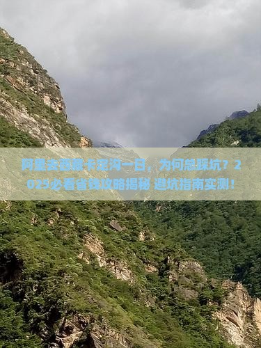 阿里去西藏卡定沟一日