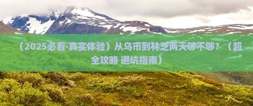 乌鲁木齐到西藏林芝二日游