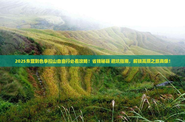 东营到西藏色季拉山自由团
