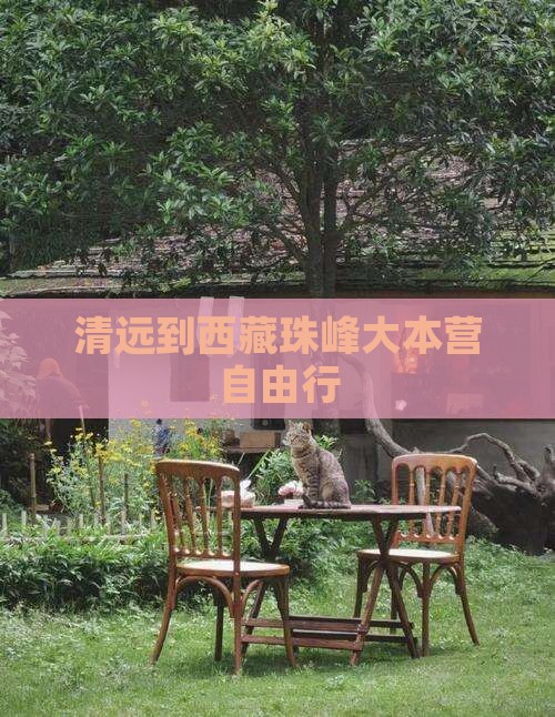 清远到西藏珠峰大本营自由行