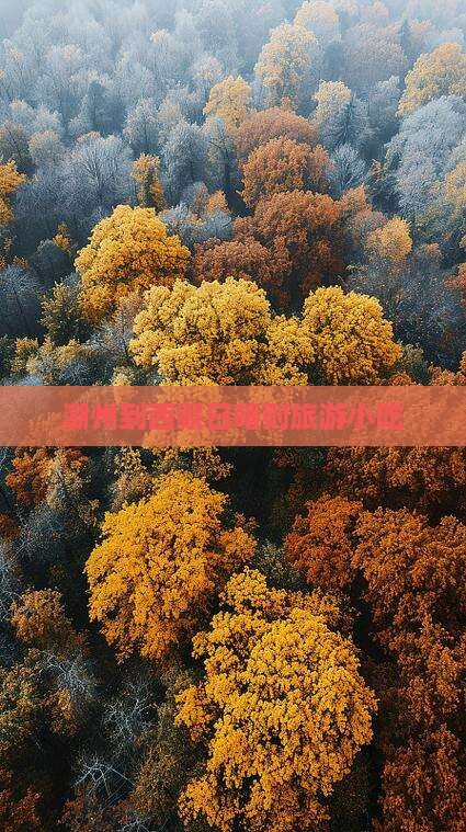 潮州到西藏日喀则旅游小吃