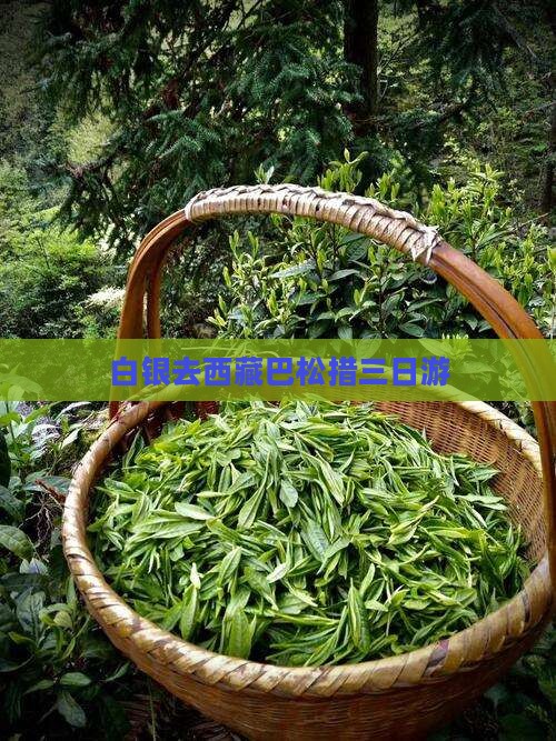 白银去西藏巴松措三日游