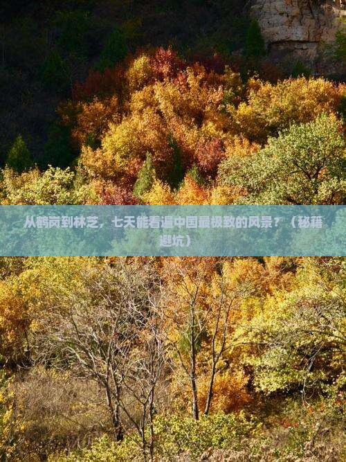 鹤岗到西藏林芝七日游