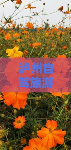 泸州到西藏巴松措旅游