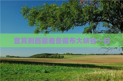 宜宾到西藏雅鲁藏布大峡谷一日