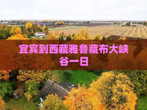 宜宾到西藏雅鲁藏布大峡谷一日