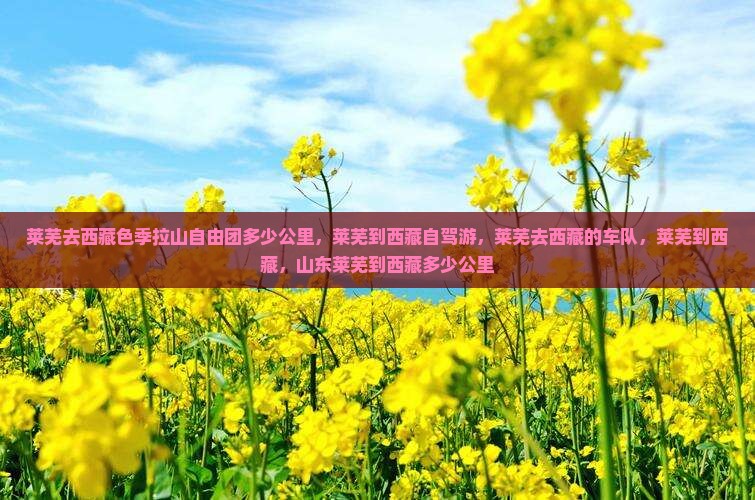 莱芜去西藏色季拉山自由团