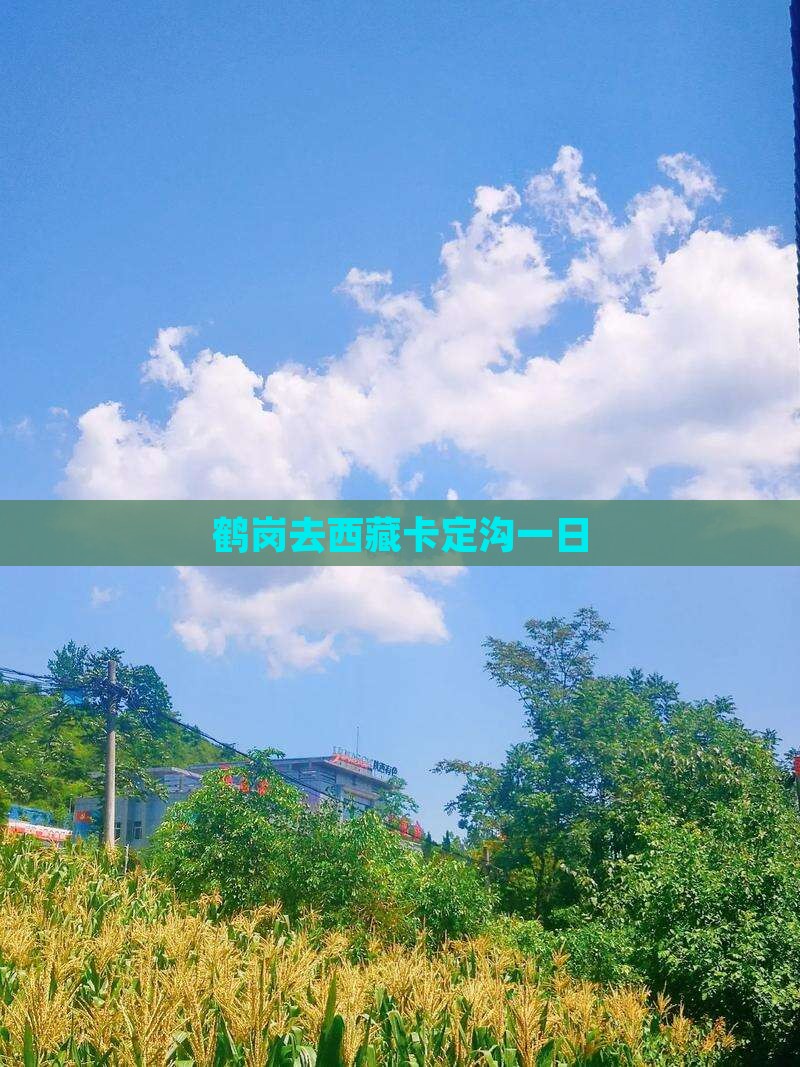 鹤岗去西藏卡定沟一日