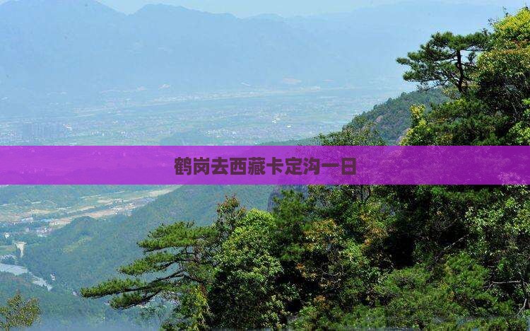 鹤岗去西藏卡定沟一日