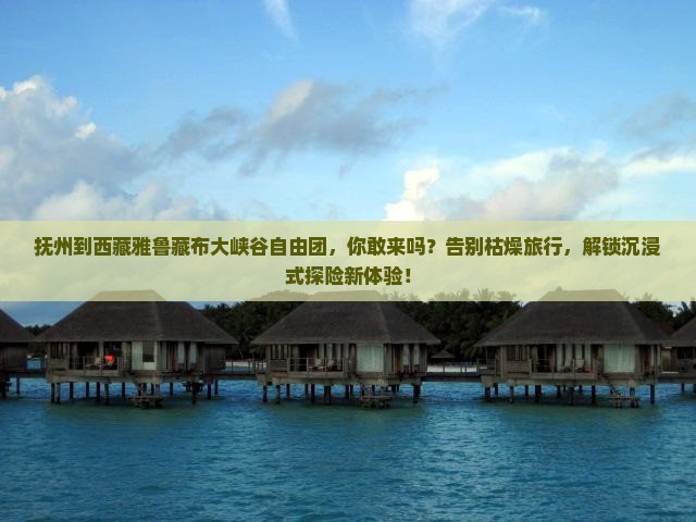 抚州到西藏雅鲁藏布大峡谷自由团