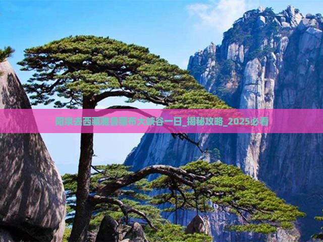 阳泉去西藏雅鲁藏布大峡谷一日