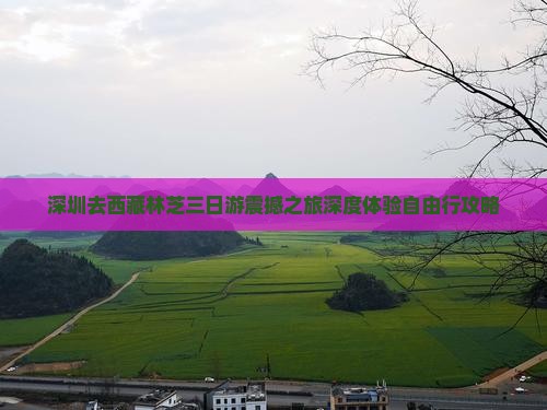 深圳去西藏林芝三日游