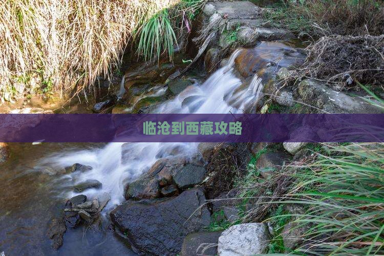 临沧到西藏攻略