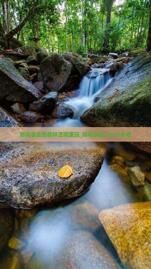 鄢陵县去西藏林芝哪里玩