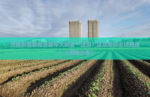 济南到西藏雅鲁藏布大峡谷一日