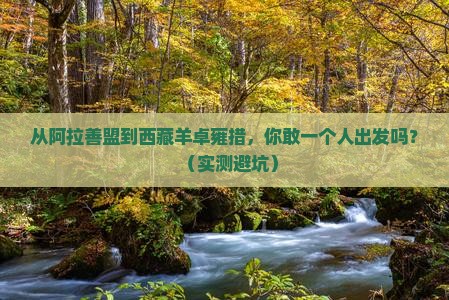 阿拉善盟到西藏羊卓雍措个人游