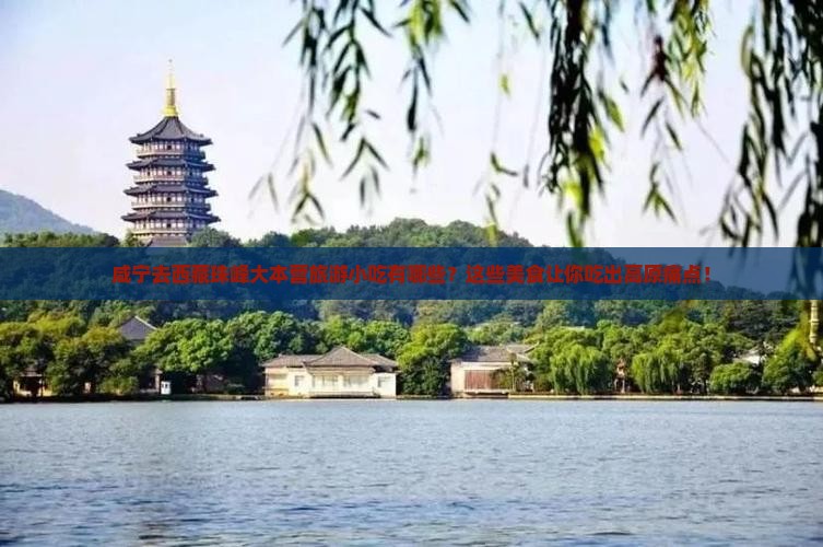 咸宁去西藏珠峰大本营旅游小吃