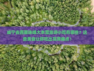 咸宁去西藏珠峰大本营旅游小吃