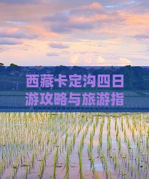 文山去西藏卡定沟四日游