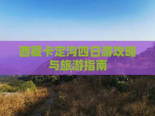 文山去西藏卡定沟四日游