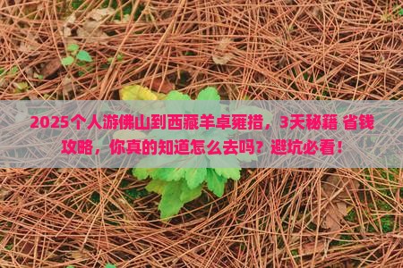 佛山到西藏羊卓雍措个人游