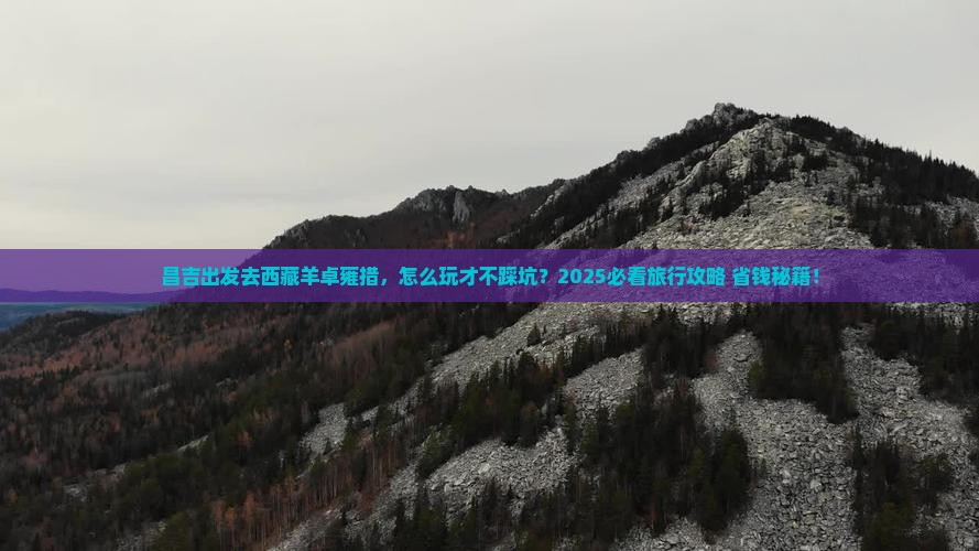 昌吉去西藏羊卓雍措旅行社