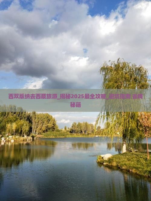 西双版纳去西藏旅游