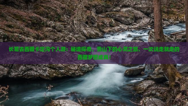 长葛去西藏卡定沟个人游
