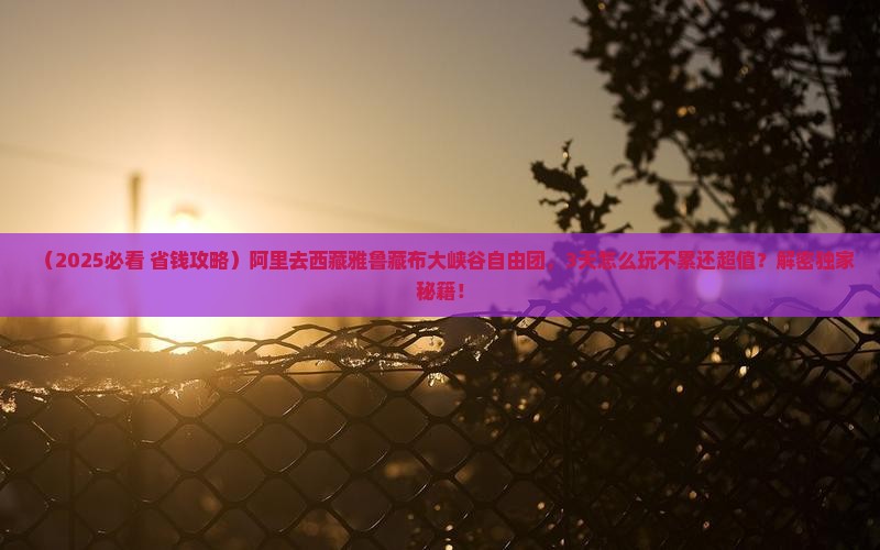 阿里去西藏雅鲁藏布大峡谷自由团