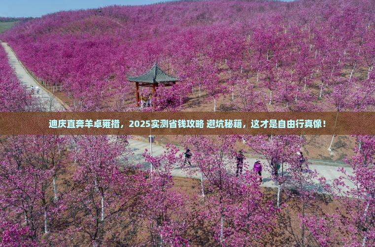 迪庆到西藏羊卓雍措自由行