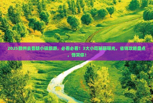 赣州到西藏鲁朗小镇旅游小吃