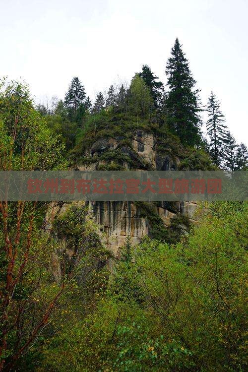 钦州到西藏布达拉宫大型旅游团