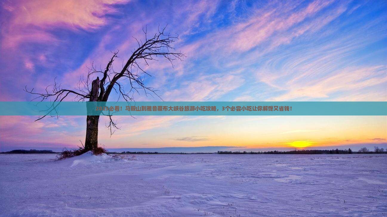 马鞍山到西藏雅鲁藏布大峡谷旅游小吃