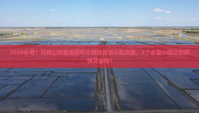 马鞍山到西藏雅鲁藏布大峡谷旅游小吃