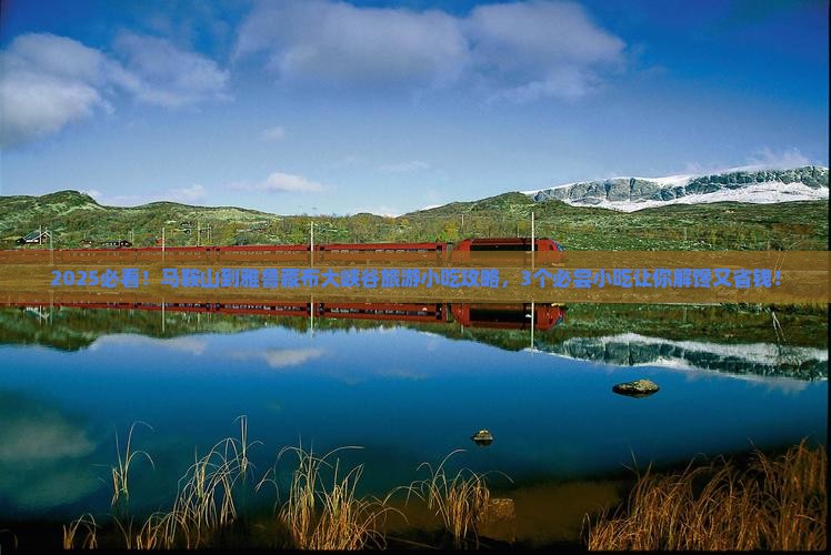 马鞍山到西藏雅鲁藏布大峡谷旅游小吃