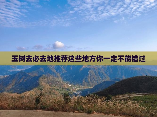 玉树去西藏必去地