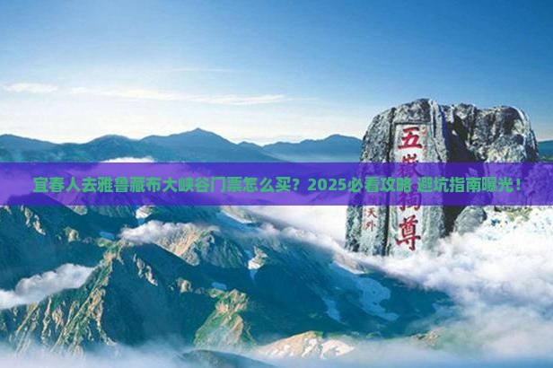 宜春去西藏雅鲁藏布大峡谷门票