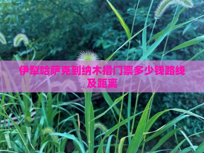 伊犁哈萨克到西藏纳木措门票