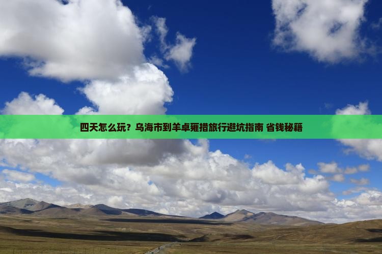 乌海市到西藏羊卓雍措四日游