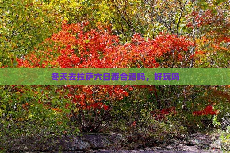 冬天去西藏拉萨六日游