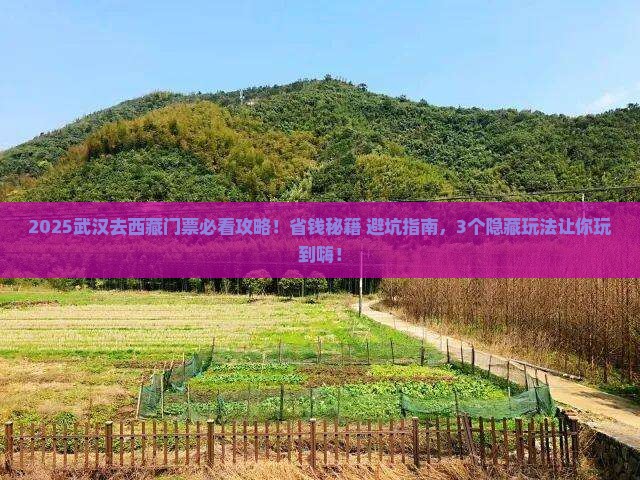 武汉去西藏门票