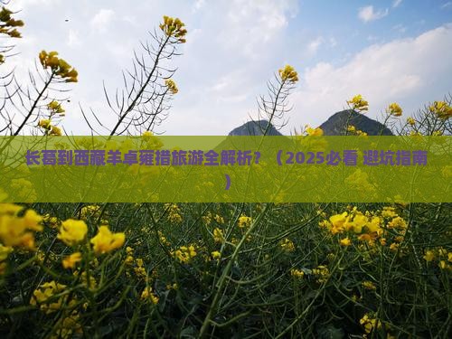 长葛到西藏羊卓雍措旅游
