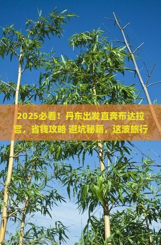 丹东到西藏布达拉宫旅游