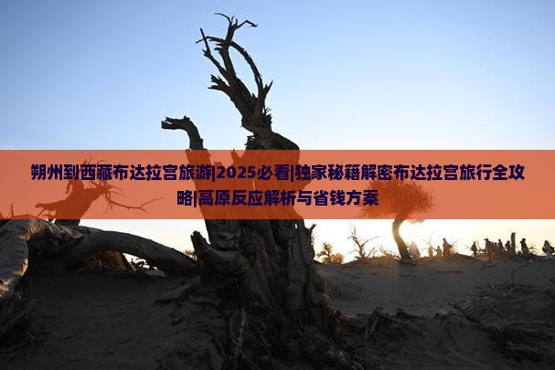 朔州到西藏布达拉宫旅游