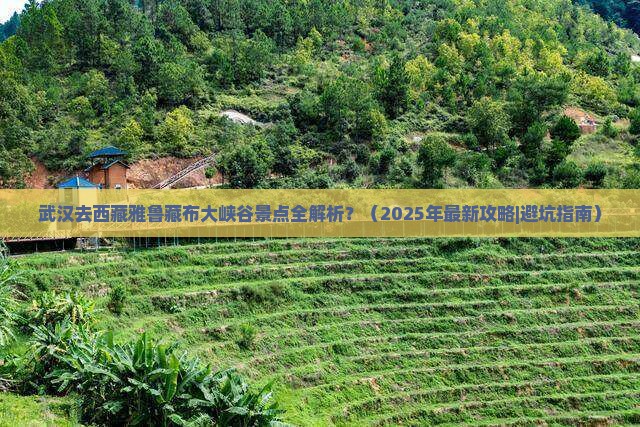 武汉去西藏雅鲁藏布大峡谷景点