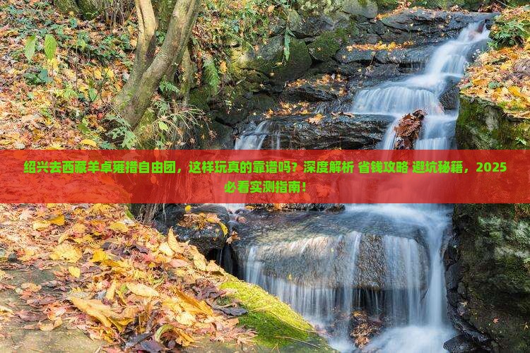 绍兴去西藏羊卓雍措自由团